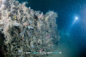 Ghost net on the Madame Alice