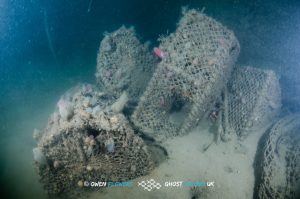 Lost creels on the Madame Alice wreck