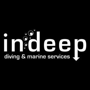 In Deep Logo